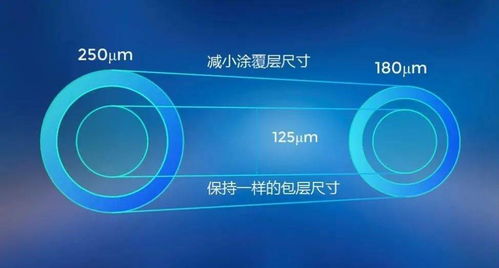 長飛展示新型單模光纖，助力5G網(wǎng)絡(luò)建設(shè)與技術(shù)創(chuàng)新